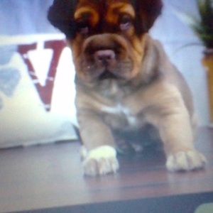 Meet your Posher, Taylor